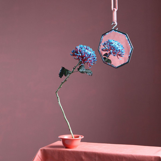 Eine Blume mit blauen Blüten. Vor den Blüten hängt ein Spiegel.