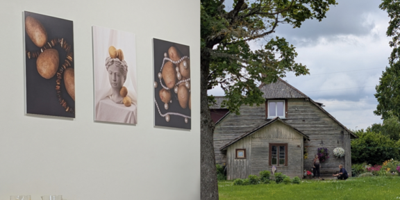 collage of two photos - one of art on a wall, the other a landscape photo of a tree and house