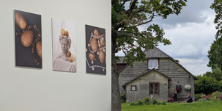 collage of two photos - one of art on a wall, the other a landscape photo of a tree and house