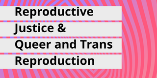 Cover des Special Issue 3 (2026) der Zeitschrift Open Gender Journal mit dem Titel „Reproductive Justice & Queer and Trans Reproduction". Herausgeberinnen sind Caroline Hammer, Elif Gül und Doris Leibtseeder. Der Hintergrund zeigt ein psychedelisches Wellenmuster in Pink-, Lila- und Blautönen.
